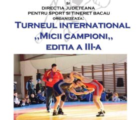 Micii-campioni